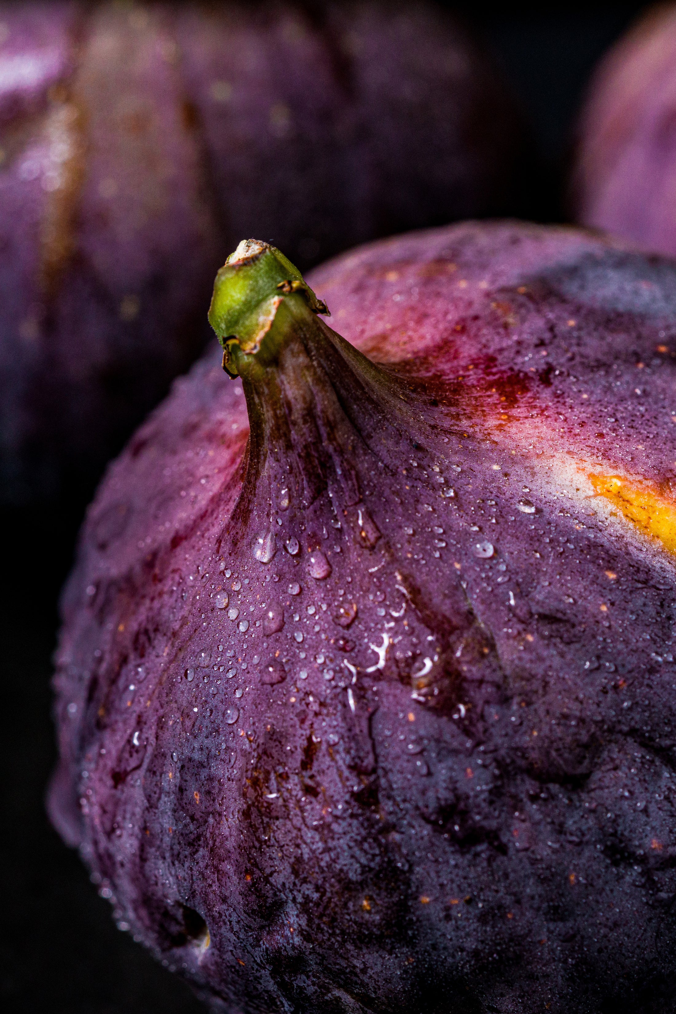 Shower Gel with Organic Fig, Lime & Dittany of Crete