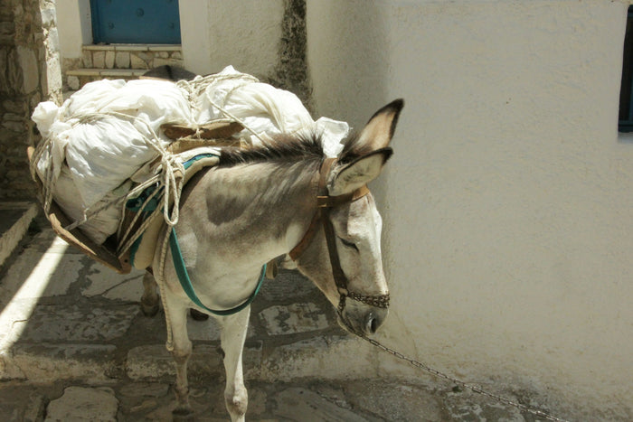 Donkey standing in a rustic Naxian village scene